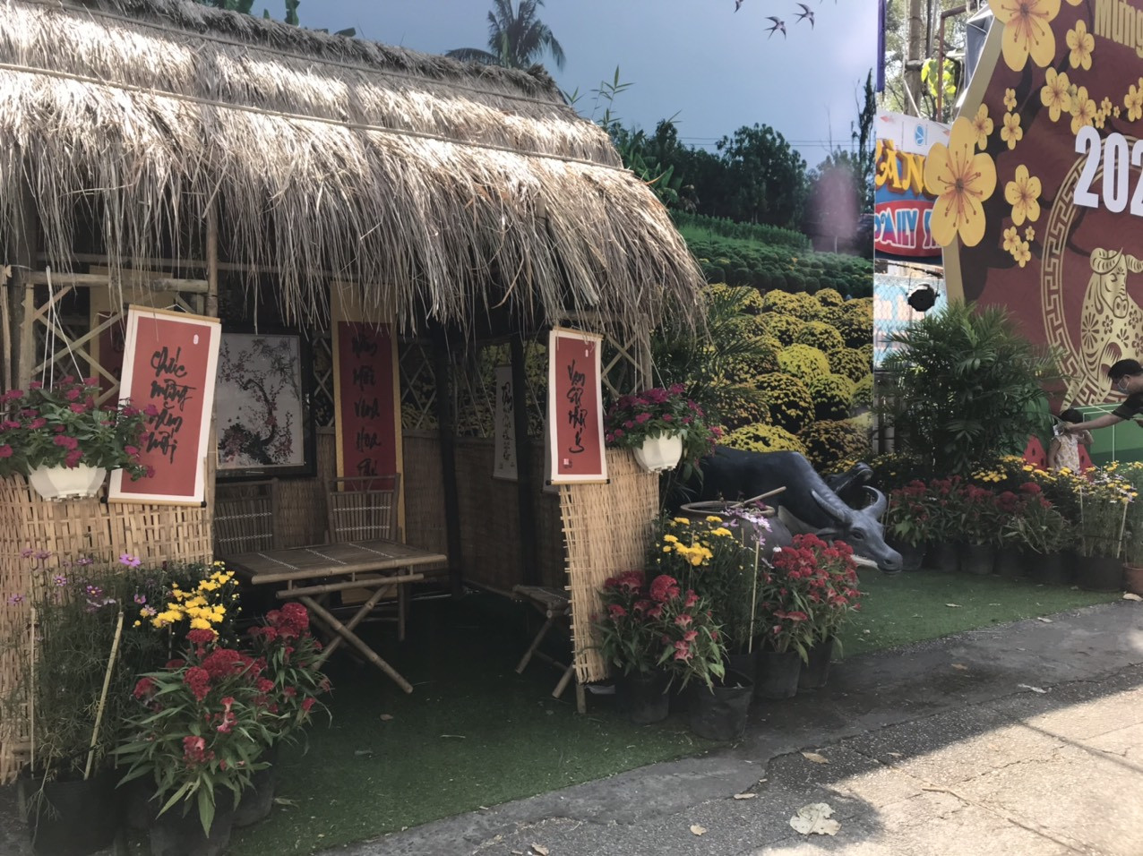 Lo ngại dịch bệnh, "phố ông đồ" tại TP. HCM vắng bóng người trẻ ảnh 15