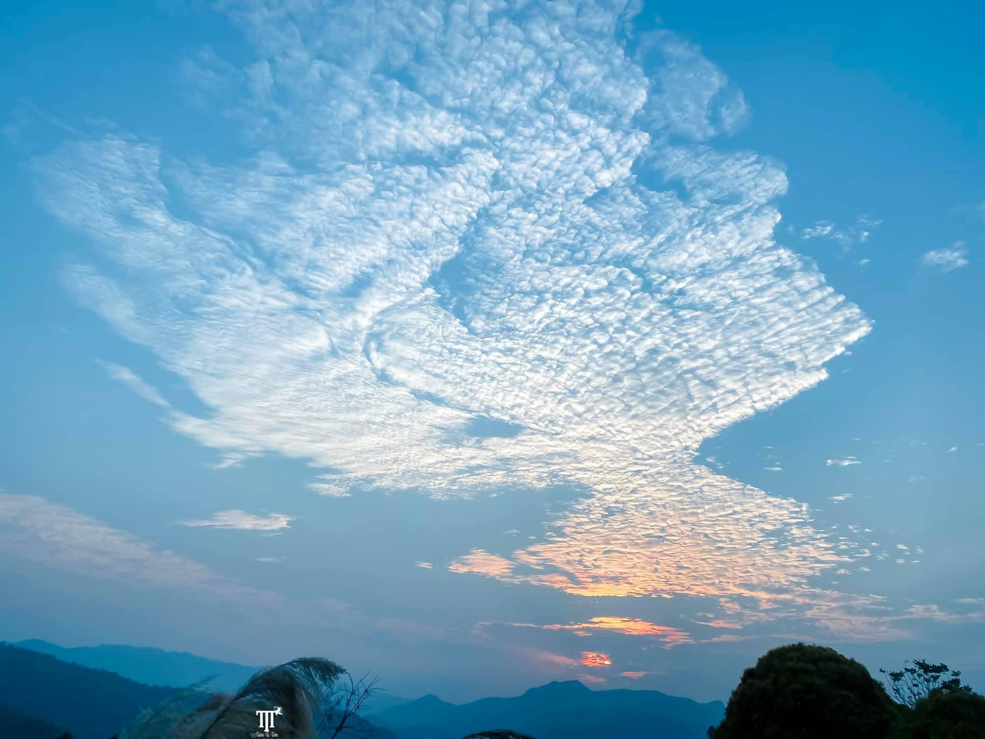 Lặng ngắm biển mây trên đỉnh Tà Xùa ảnh 15