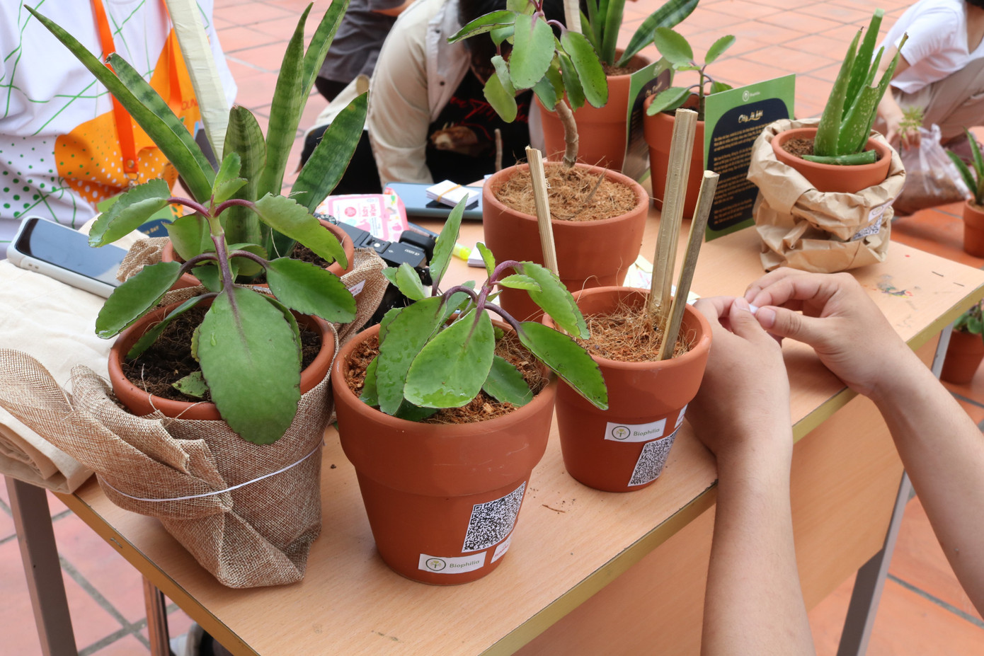 Lan tỏa thông điệp sống xanh ảnh 2