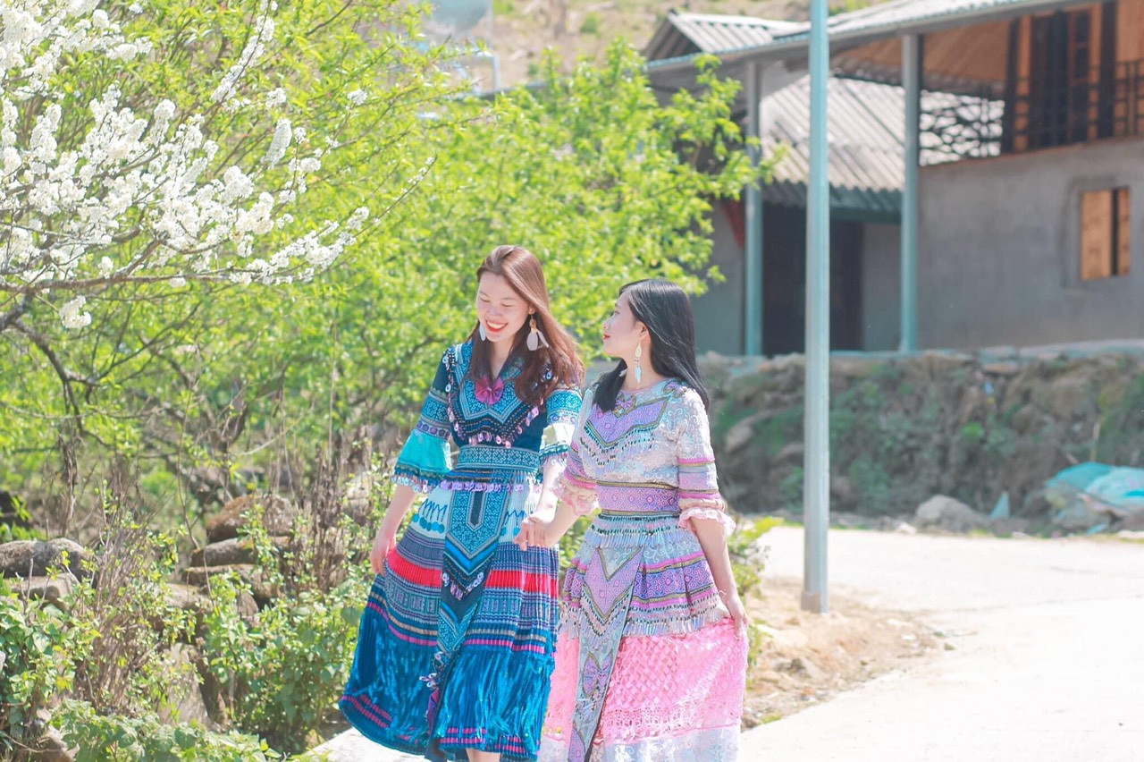 Cô giáo trẻ hóa thân thành “nàng thơ” giữa rừng hoa mận Sa Pa ảnh 3