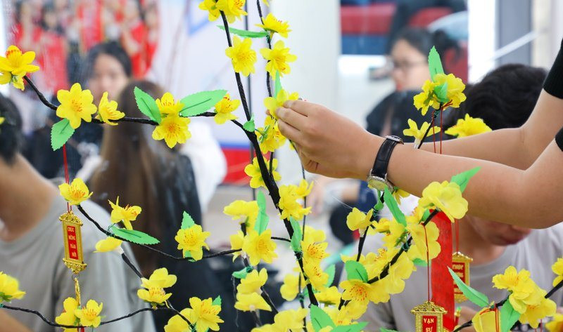 Sinh viên trổ tài trang trí mai, đào ngày Tết ảnh 3