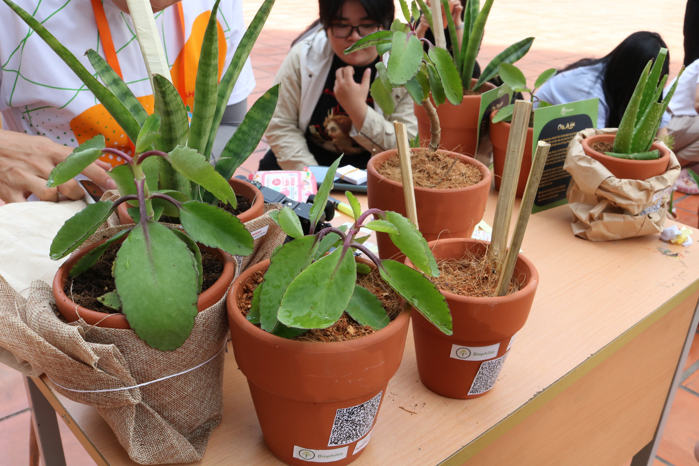 Lan tỏa thông điệp sống xanh ảnh 13