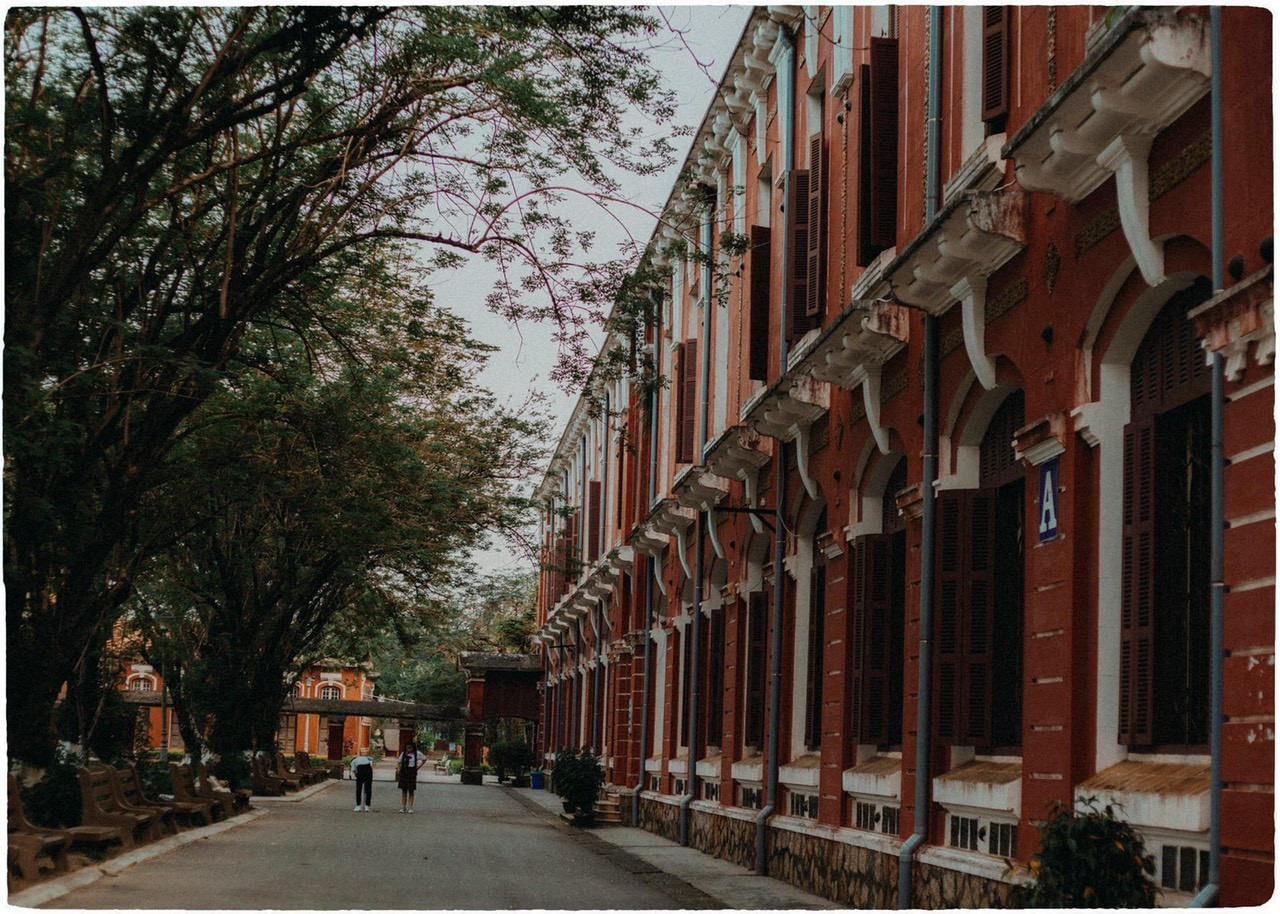 Vẻ đẹp mơ màng của nữ sinh Huế giữa mùa hoa điệp anh đào ảnh 3