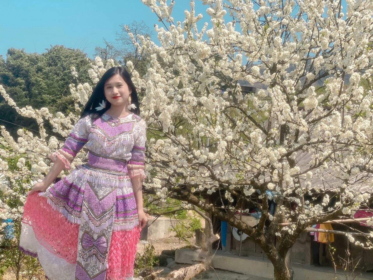 Cô giáo trẻ hóa thân thành “nàng thơ” giữa rừng hoa mận Sa Pa ảnh 1