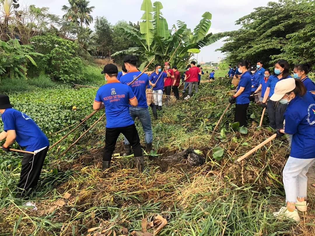 Gần 1.000 sinh viên hưởng ứng chương trình “Ngày Chủ Nhật Xanh” ảnh 3