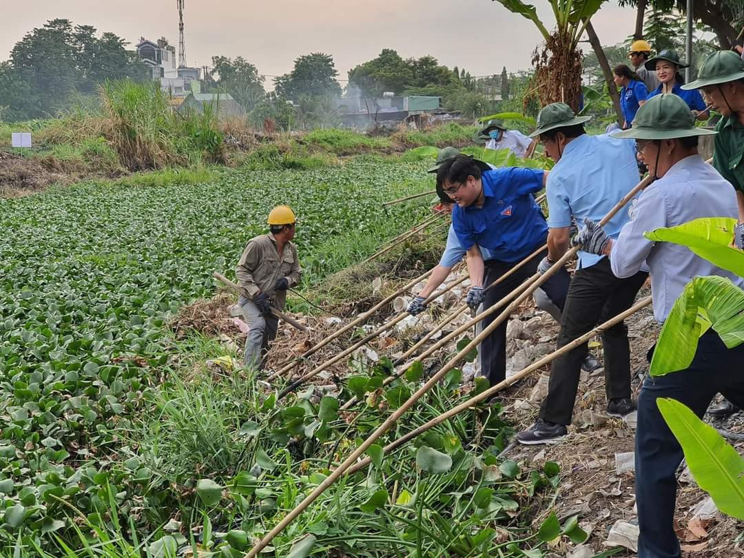Gần 1.000 sinh viên hưởng ứng chương trình “Ngày Chủ Nhật Xanh” ảnh 2
