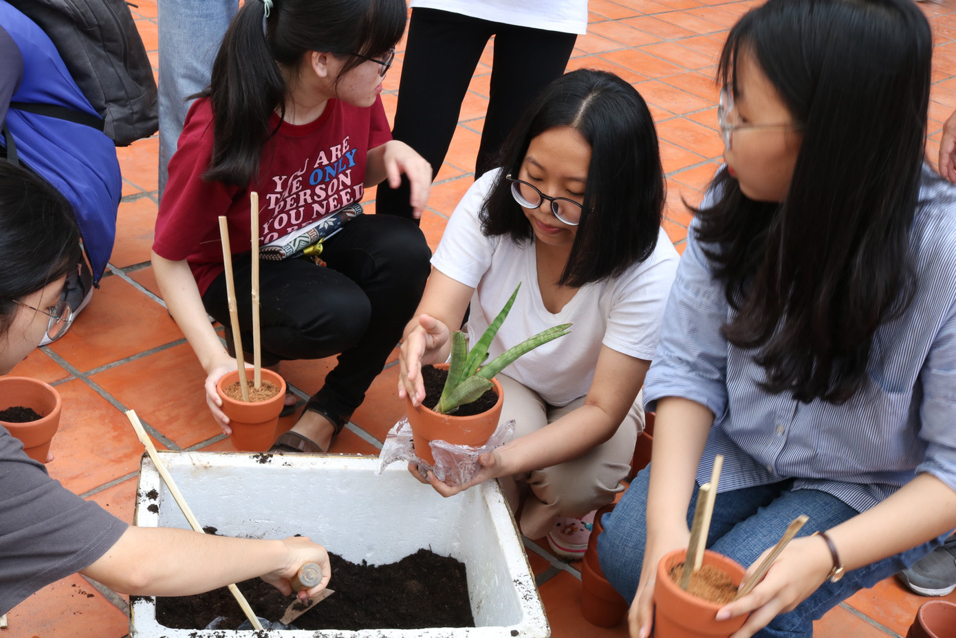 Lan tỏa thông điệp sống xanh ảnh 11