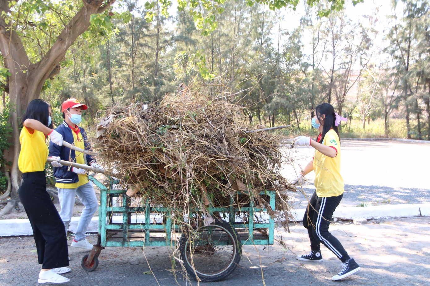 TP. HCM: Ra quân chiến dịch “Xuân Tình nguyện” ảnh 12