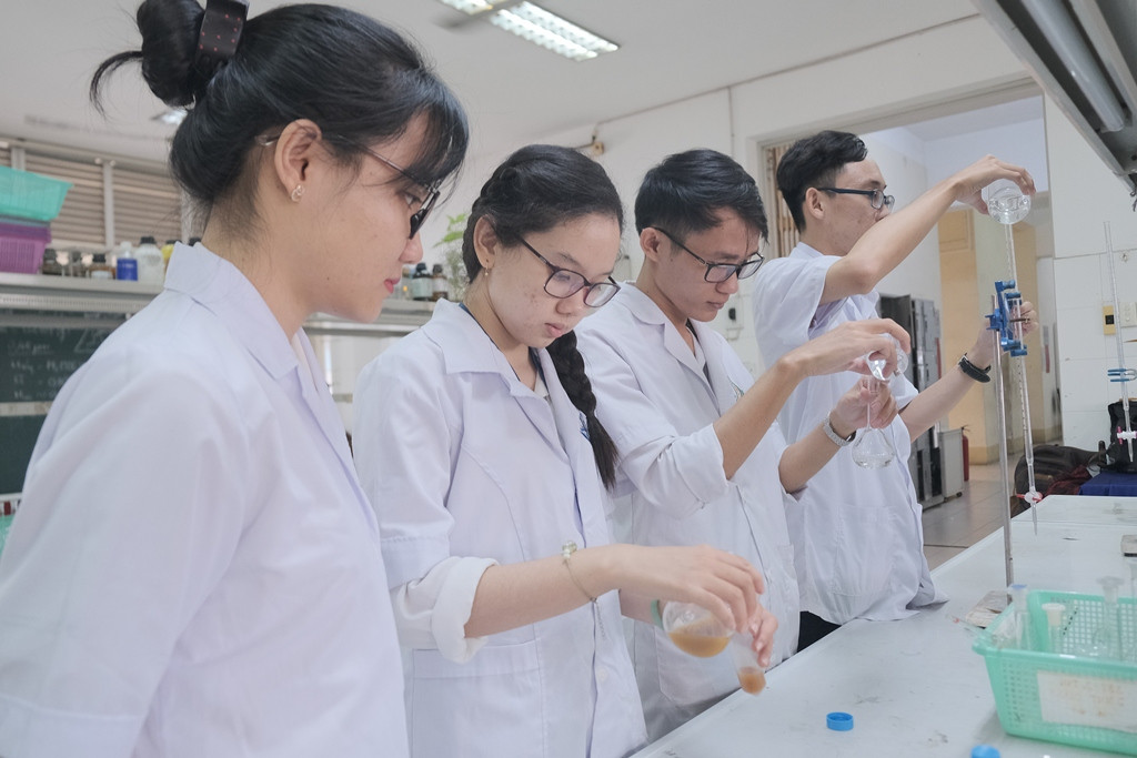 Chế viên nang giảm cân, hạ mỡ từ quả bưởi non ảnh 3