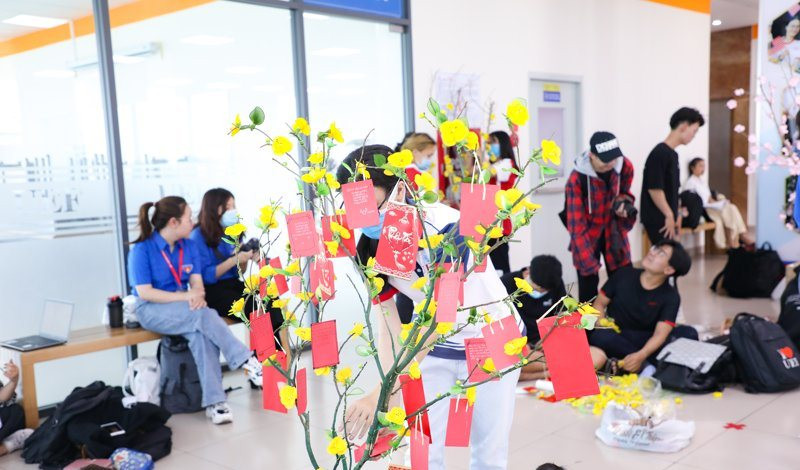 Sinh viên trổ tài trang trí mai, đào ngày Tết ảnh 8