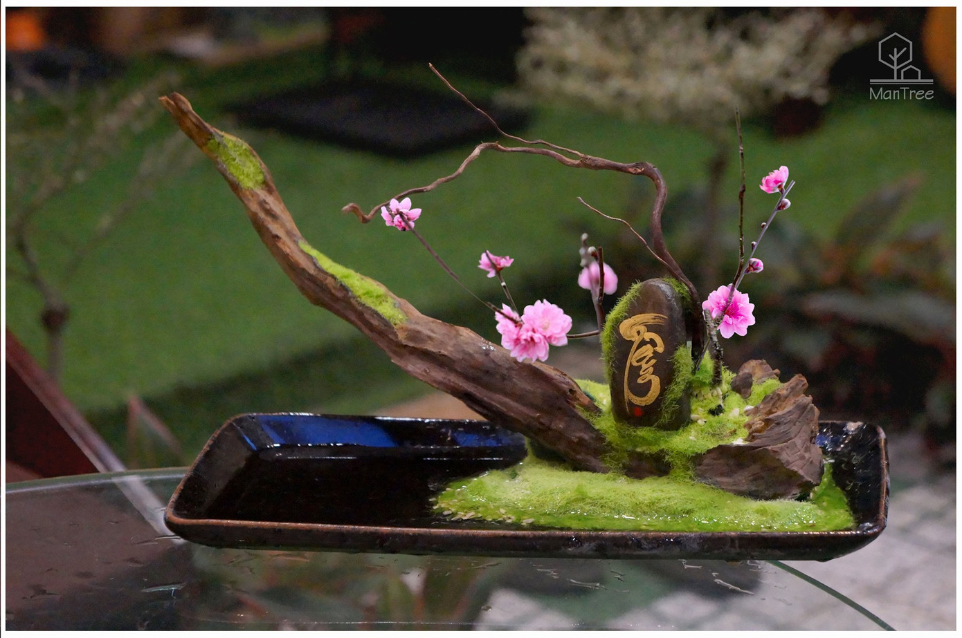 Bạn trẻ sáng tạo kinh doanh hoa kiểng Tết ảnh 1