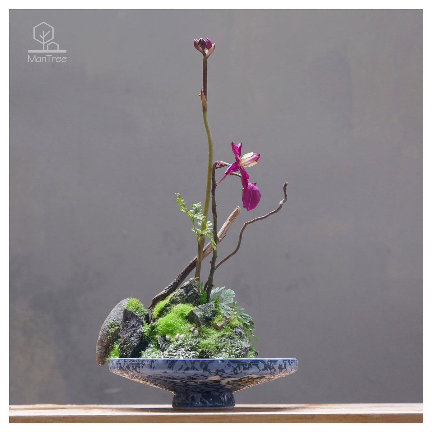 Bạn trẻ sáng tạo kinh doanh hoa kiểng Tết ảnh 3