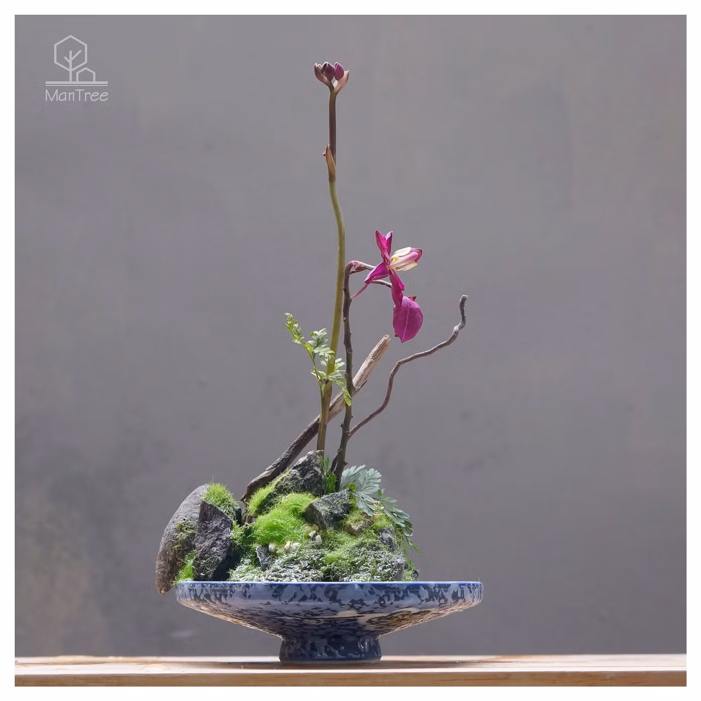 Bạn trẻ sáng tạo kinh doanh hoa kiểng Tết ảnh 3