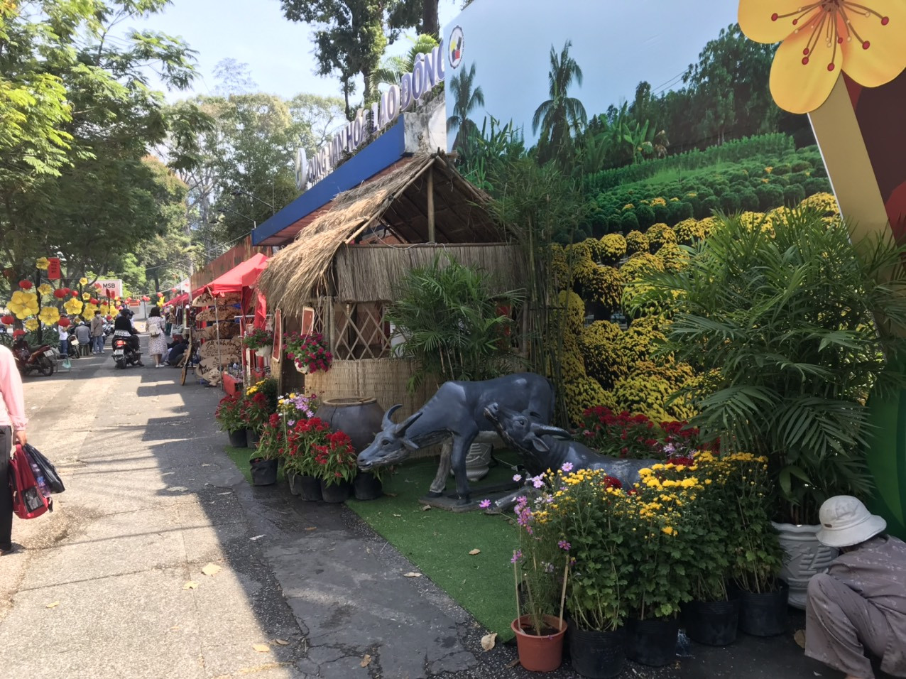 Lo ngại dịch bệnh, "phố ông đồ" tại TP. HCM vắng bóng người trẻ ảnh 14