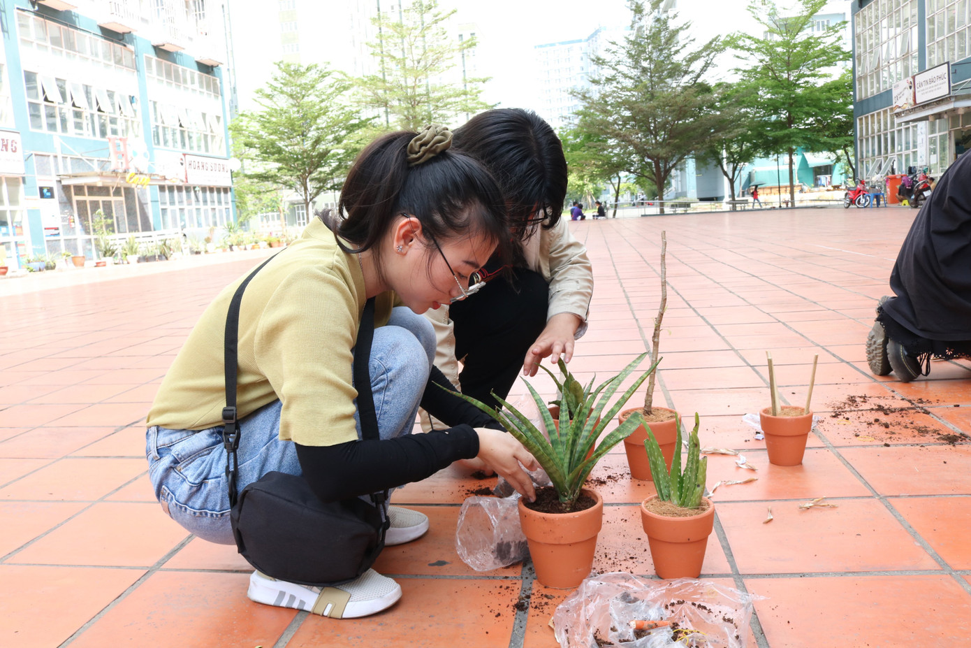 Lan tỏa thông điệp sống xanh ảnh 10