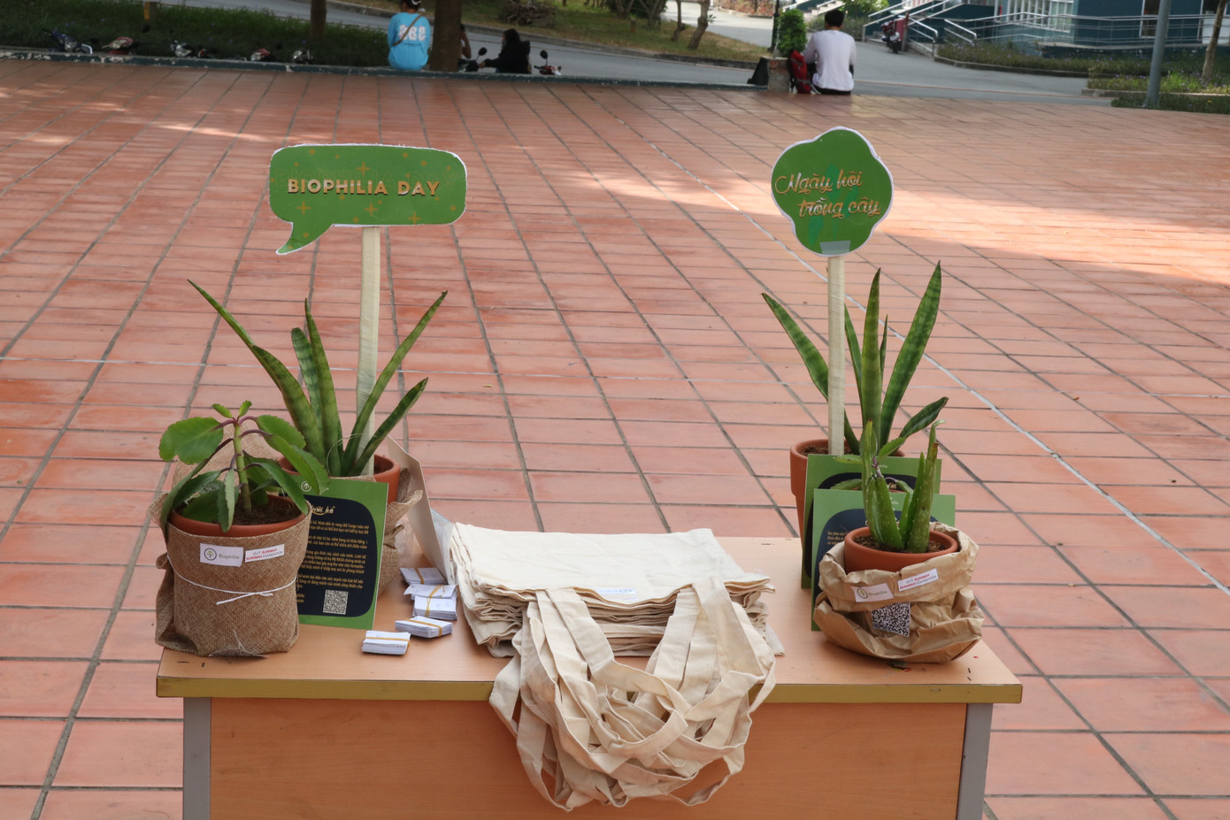 Lan tỏa thông điệp sống xanh ảnh 14