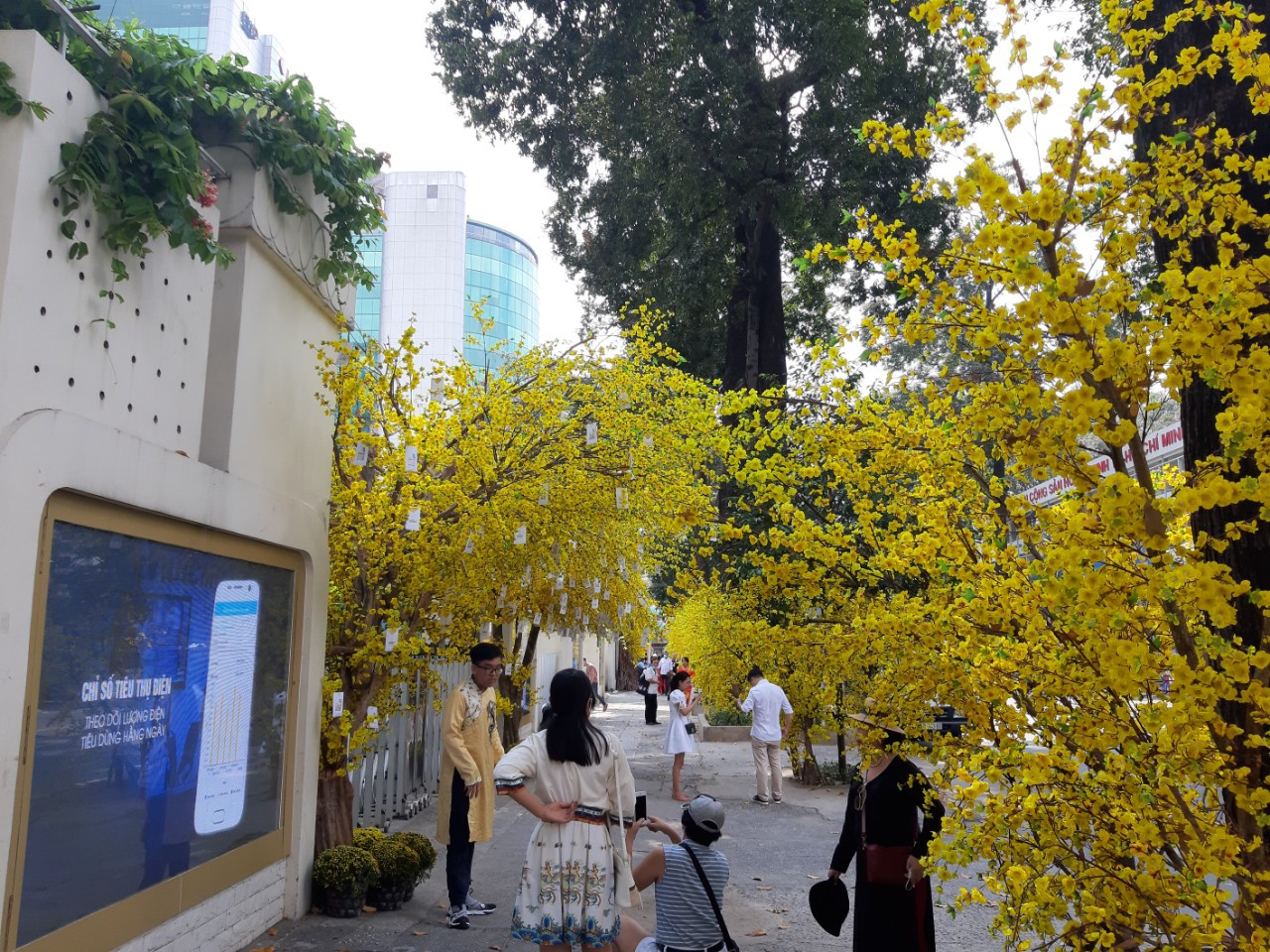 Đi Đường hoa Nguyễn Huệ, bạn trẻ phải đeo khẩu trang chụp hình và xếp hàng đo thân nhiệt ảnh 13