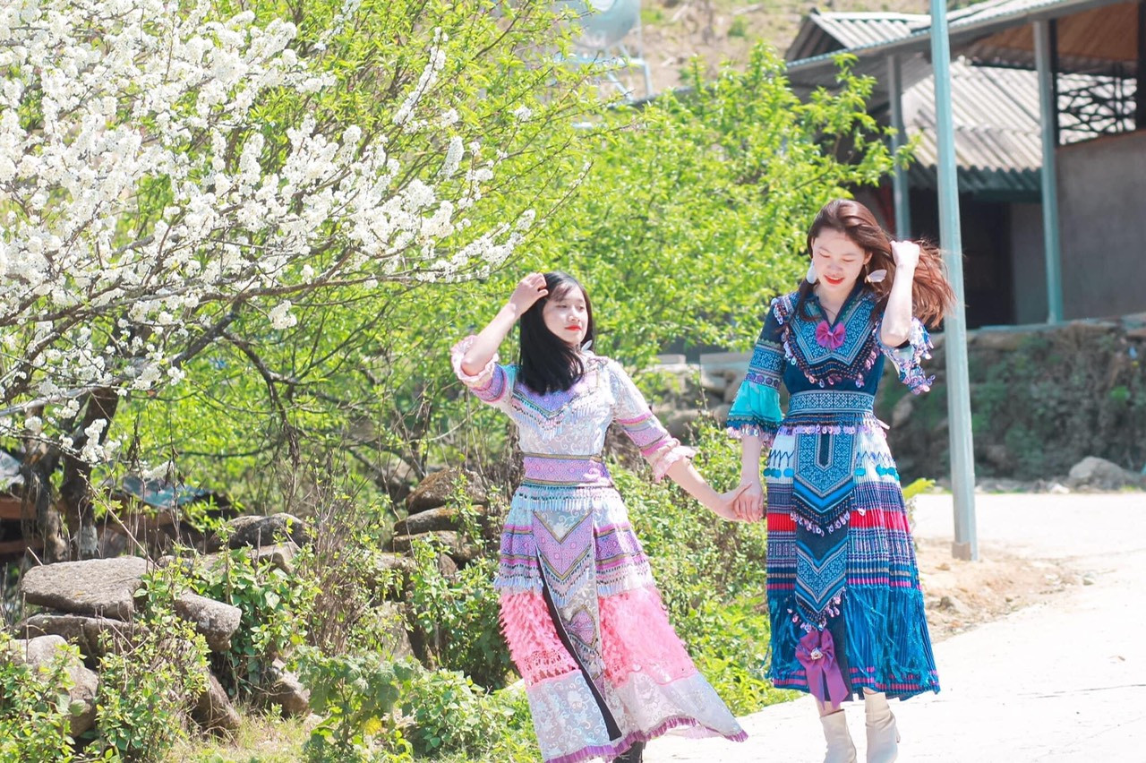 Cô giáo trẻ hóa thân thành “nàng thơ” giữa rừng hoa mận Sa Pa ảnh 9