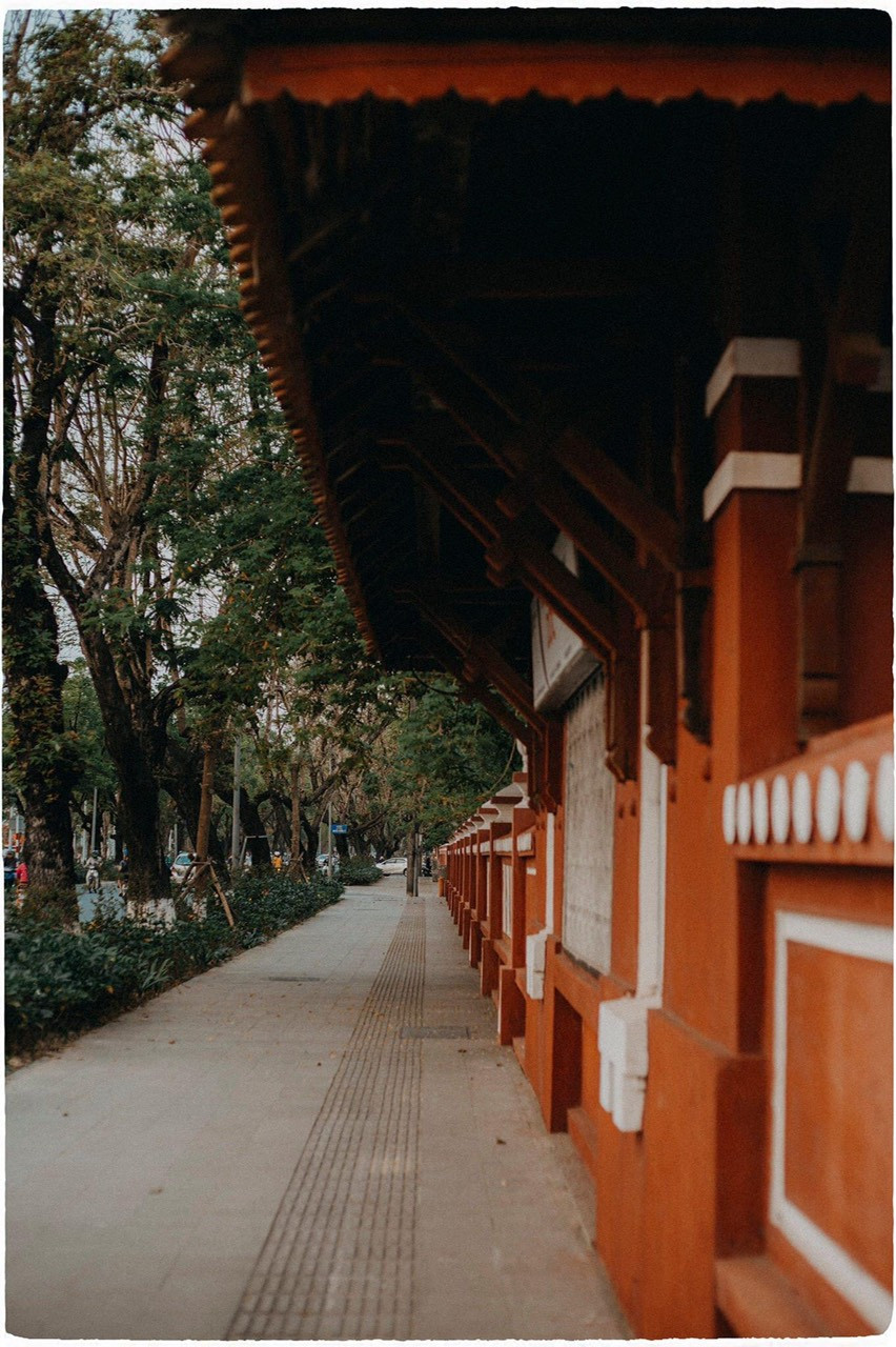 Vẻ đẹp mơ màng của nữ sinh Huế giữa mùa hoa điệp anh đào ảnh 5