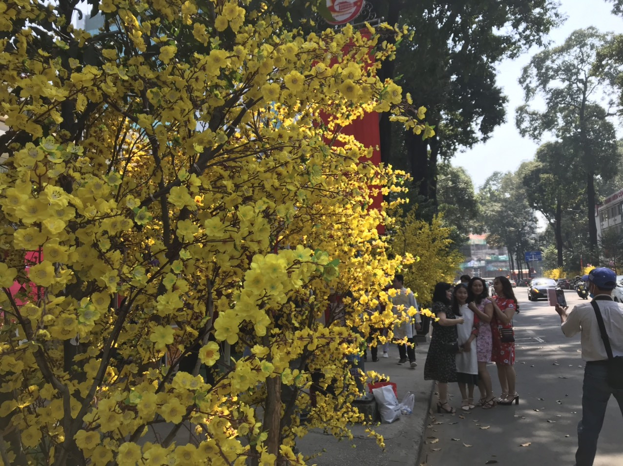 Lo ngại dịch bệnh, "phố ông đồ" tại TP. HCM vắng bóng người trẻ ảnh 22