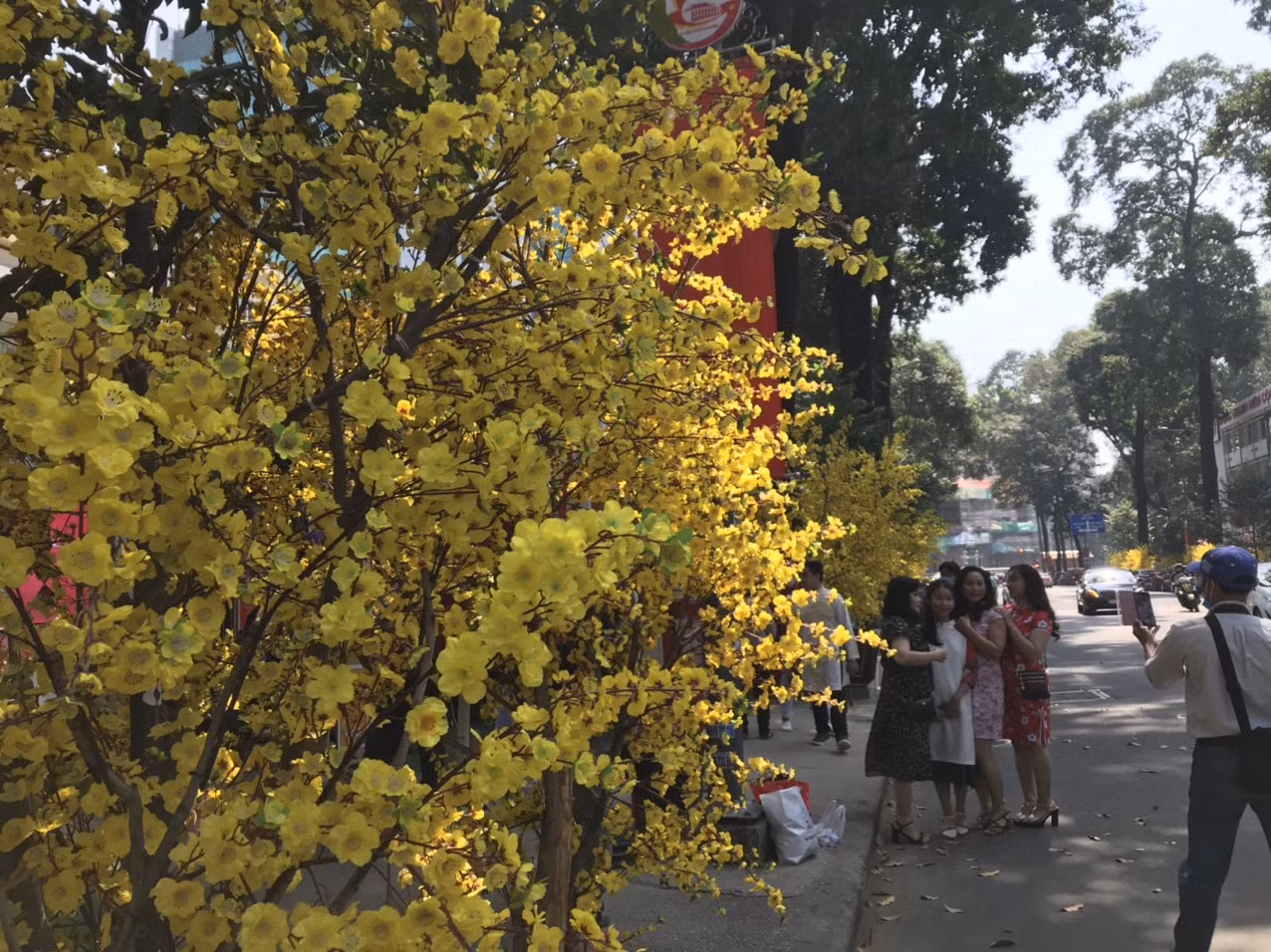 Lo ngại dịch bệnh, "phố ông đồ" tại TP. HCM vắng bóng người trẻ ảnh 22