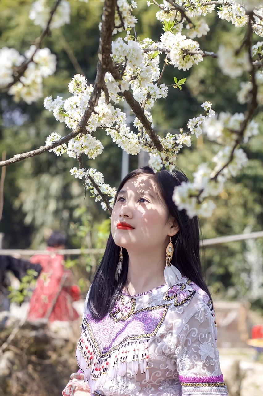 Cô giáo trẻ hóa thân thành “nàng thơ” giữa rừng hoa mận Sa Pa ảnh 4