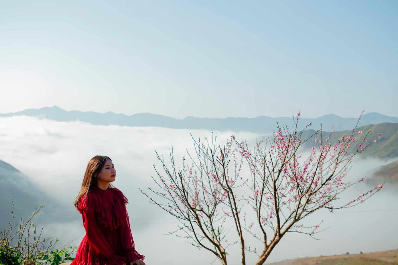 Lặng ngắm biển mây trên đỉnh Tà Xùa ảnh 5