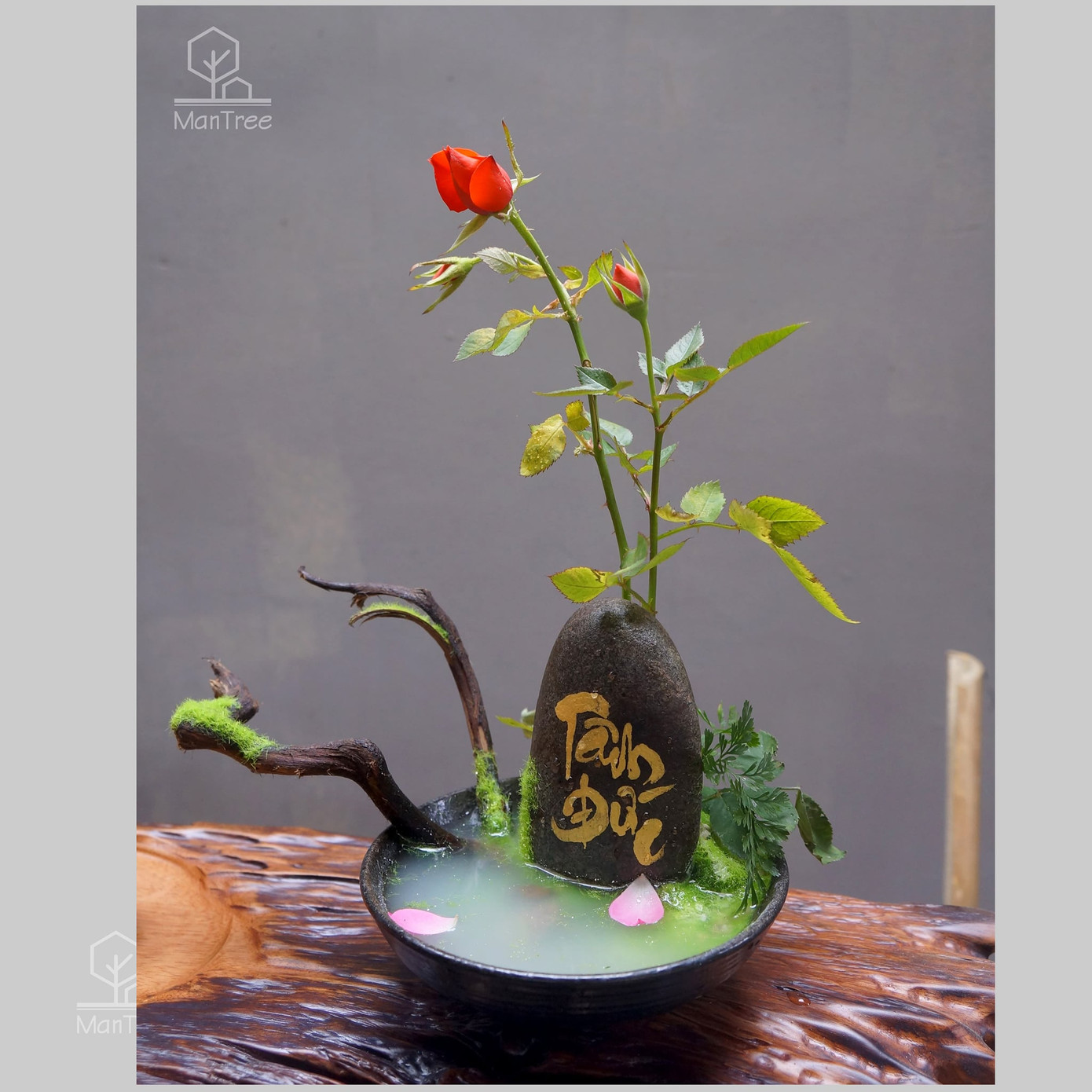 Bạn trẻ sáng tạo kinh doanh hoa kiểng Tết ảnh 4