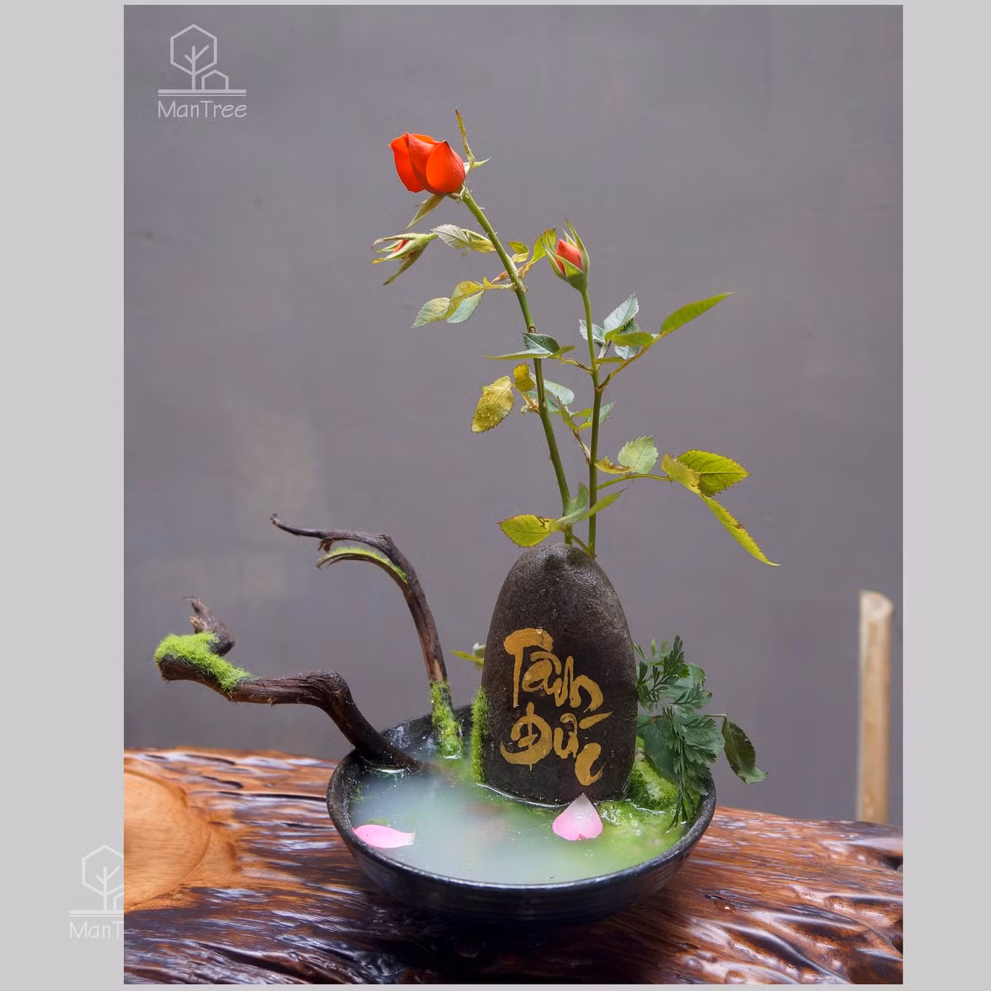 Bạn trẻ sáng tạo kinh doanh hoa kiểng Tết ảnh 4