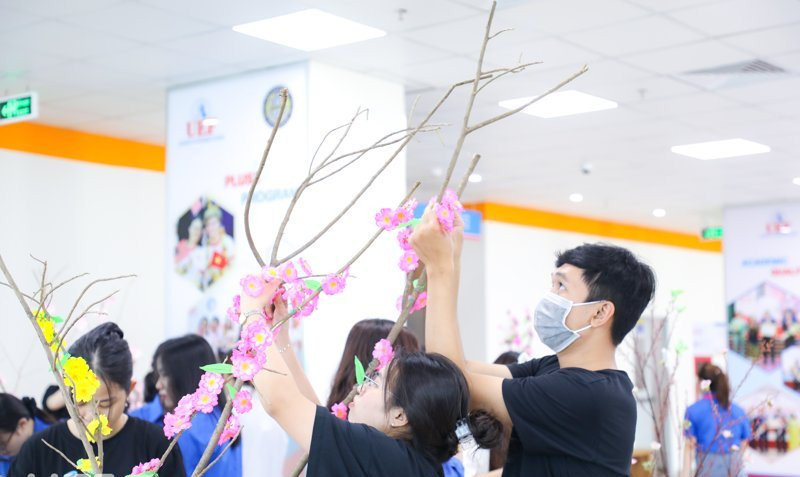 Sinh viên trổ tài trang trí mai, đào ngày Tết ảnh 5