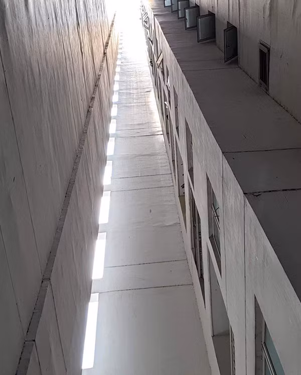 TS Bùi Quang Tín uống rượu bia cùng đồng nghiệp trước khi tử vong ảnh 2