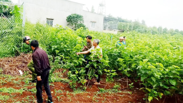 Nghi án kẻ nghiện ma túy sát hại phụ nữ bại liệt cướp tài sản ảnh 1