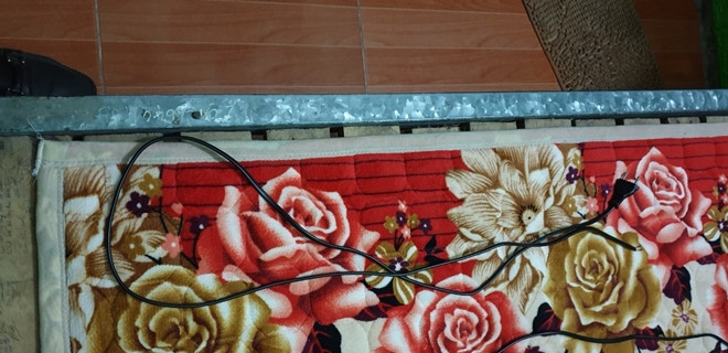 Người mẹ sát hại con trai 3 tuổi khai gì? ảnh 1