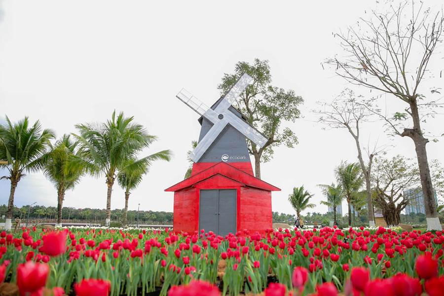 Đan Lê khoe ảnh đẹp đầu xuân bên Khải Anh và con trai ảnh 4