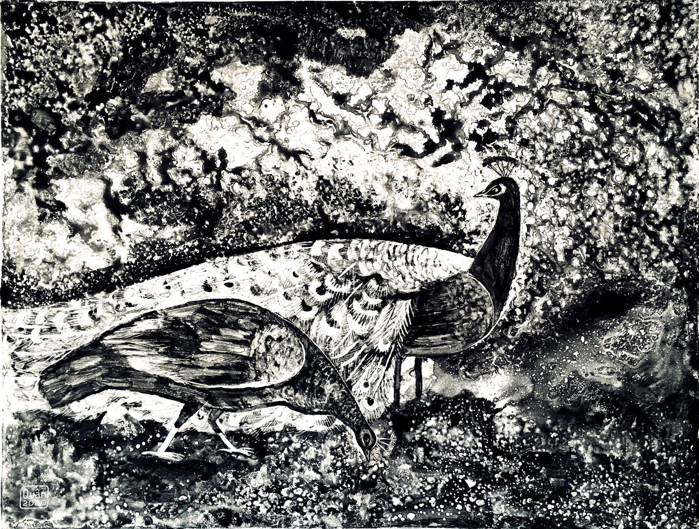 Khám phá thế giới đồ họa của họa sĩ, cựu lính đặc công Trần Văn Quân ảnh 4