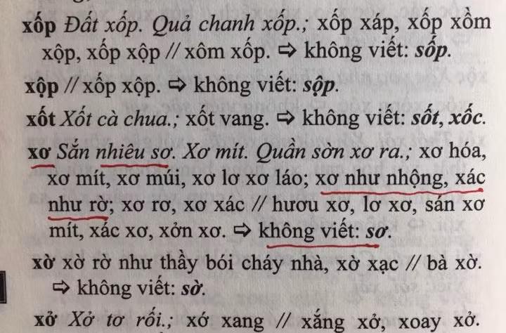 Choáng với cả trăm lỗi sai chính tả trong 'Từ điển chính tả tiếng Việt' ảnh 2