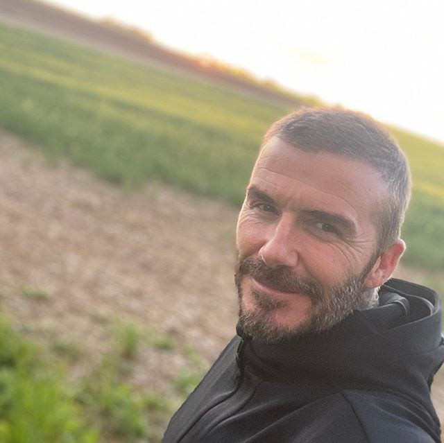 Tóc David Beckham mọc với 'tốc độ ánh sáng' ảnh 1