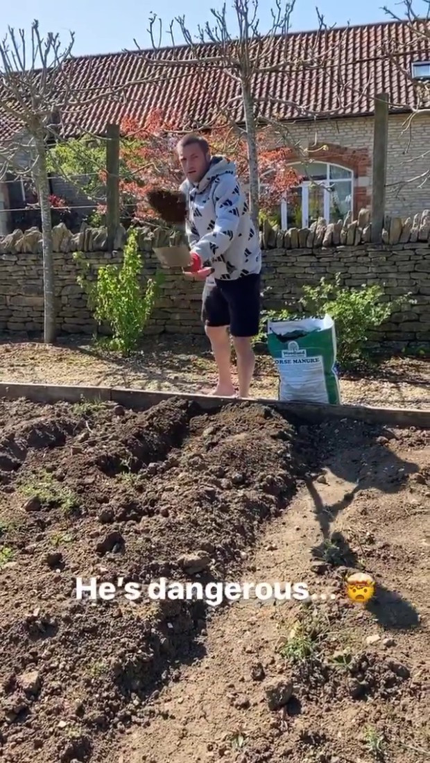 ‘Sát thủ’ Ngoại hạng Anh về nhà trồng rau, nuôi gà ảnh 2