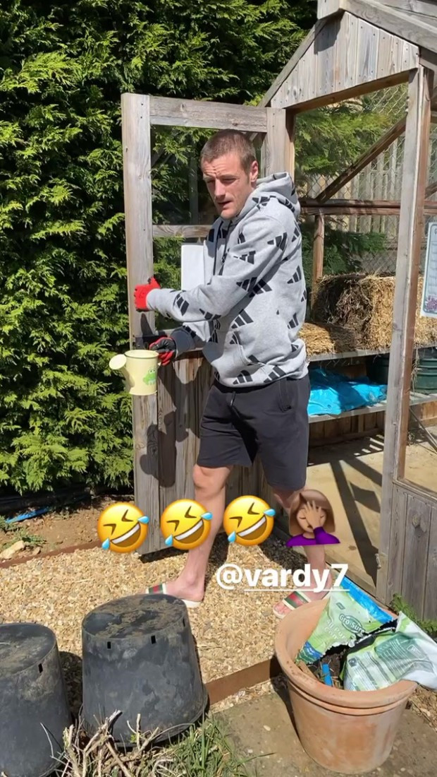 ‘Sát thủ’ Ngoại hạng Anh về nhà trồng rau, nuôi gà ảnh 3