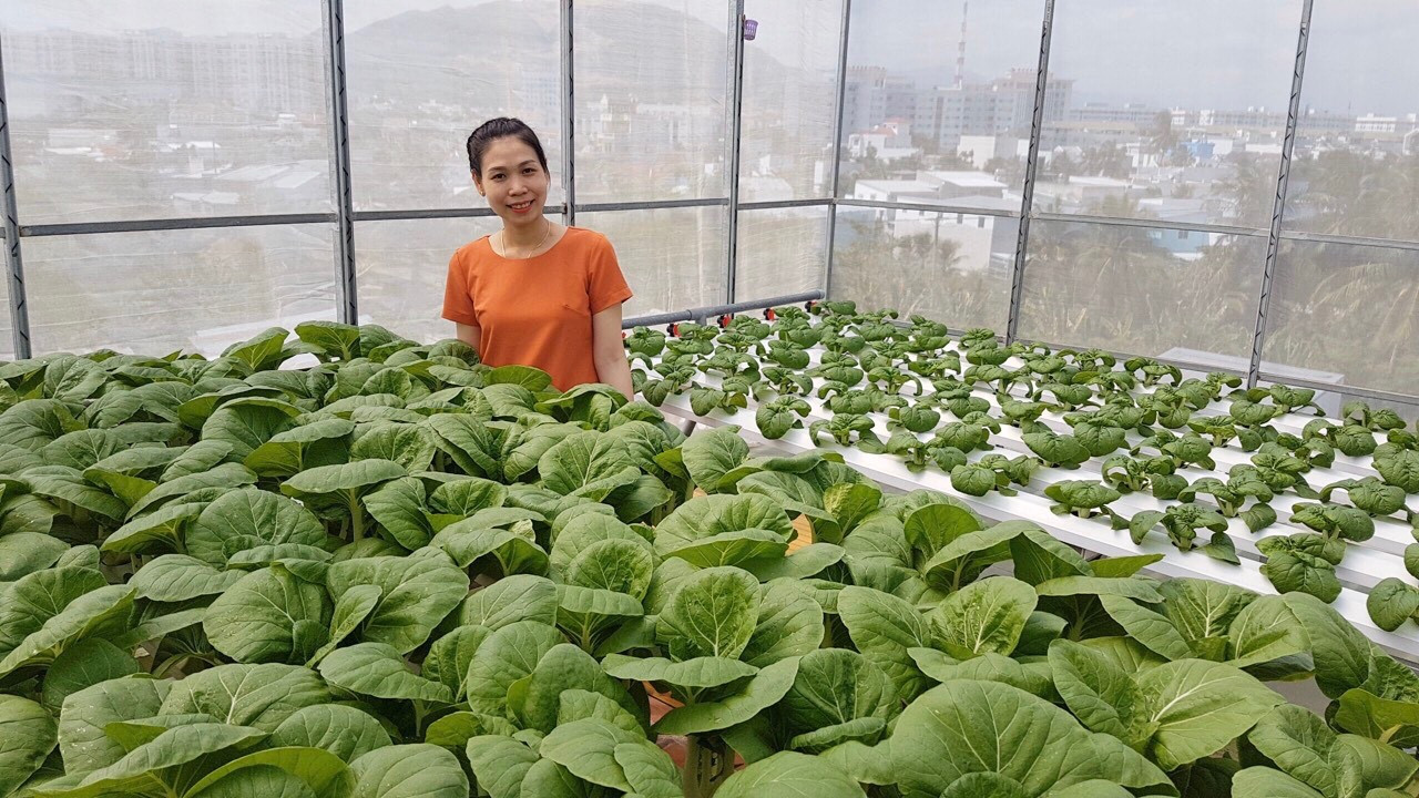 Gia đình trẻ biến sân thượng trống thành ‘khu vườn trên mây’ ảnh 1