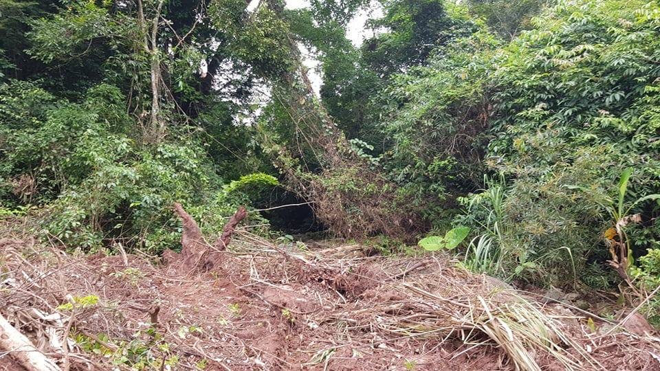 Vào nơi 'lâm tặc' lộng hành như rừng vô chủ ảnh 9