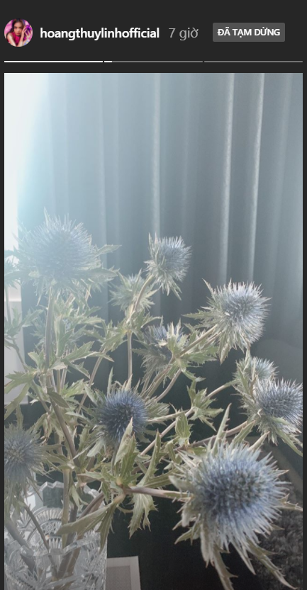 Hoa hậu Giáng My diện áo tắm xẻ sâu tôn ngực đầy nóng bỏng ảnh 9