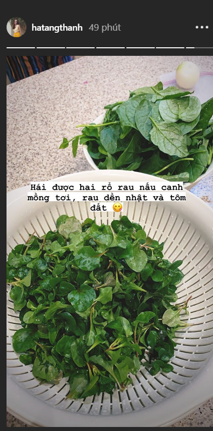 Thanh Lam đăng clip thân mật bên bạn trai, khoe loạt ảnh ngọt ngào gây 'sốt' ảnh 3