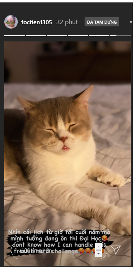 Bảo Thanh mang bầu lần hai ảnh 5