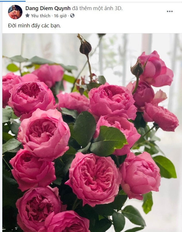 Karik xin lỗi công chúng vì hành động gác chân thiếu văn minh bị chỉ trích gay gắt ảnh 4