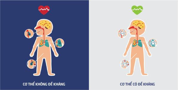 Tăng cường đề kháng đa kênh bằng bào tử lợi khuẩn Bacillus ảnh 1