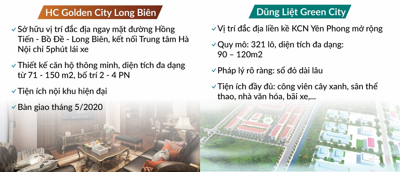 Đất Xanh Miền Bắc quyết khuấy động thị trường bất chấp COVID-19 ảnh 3