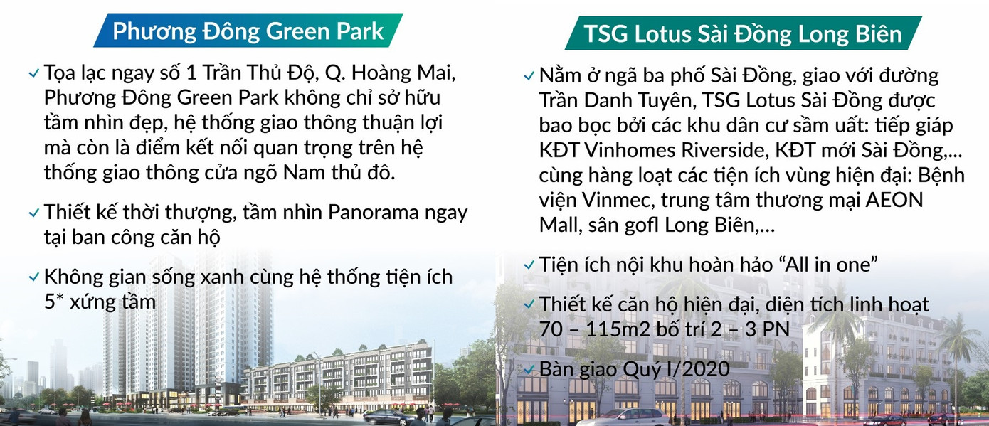 Đất Xanh Miền Bắc quyết khuấy động thị trường bất chấp COVID-19 ảnh 2