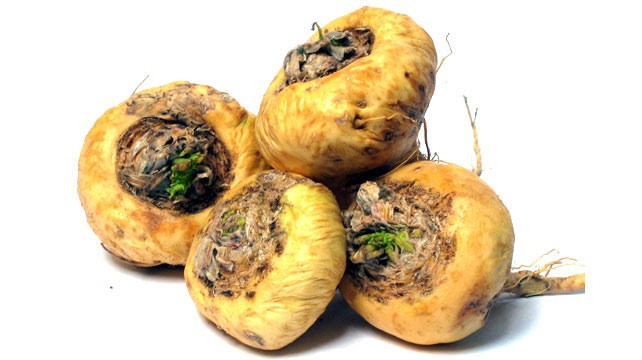 Zawa: 'Bước đột phá trong trong ngành thực phẩm chức năng sinh lý nam giới' ảnh 5