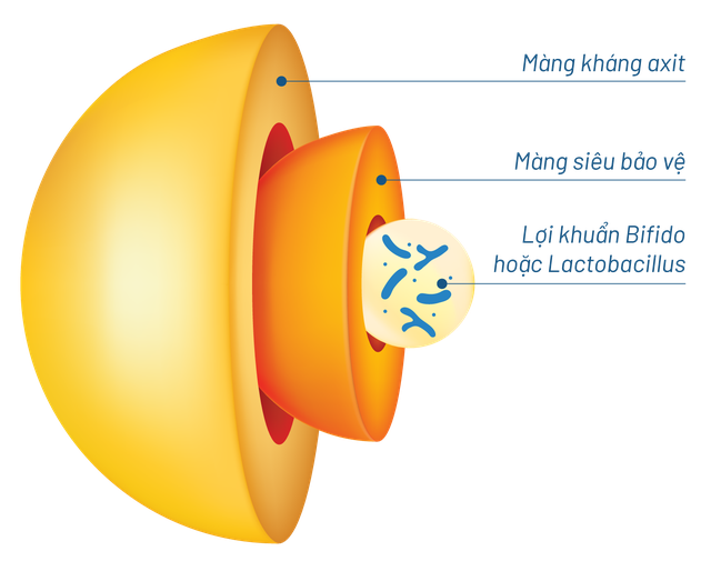 Sống vui, sống khỏe nhờ thoát nỗi khổ viêm đại tràng dai dẳng ảnh 1